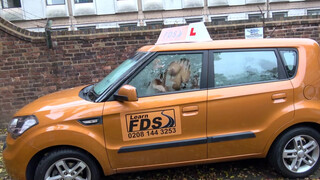 Fake Driving School dagi spiné is lovagolni akar