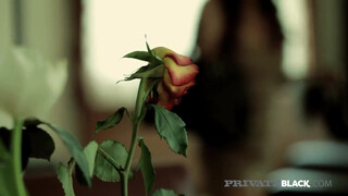 Angelica Heart popsiba dugva